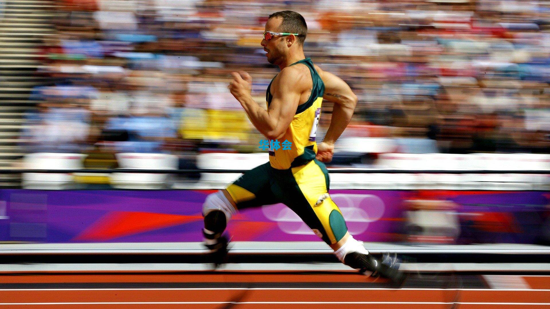 德甲焦点前瞻，残阵斯图加特主场迎击法兰克福 攻防软肋碰撞定保级格局